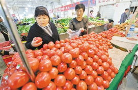 蔬菜價格四周累計回落6.3%，食用農產品批發態勢分析