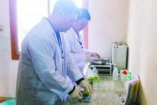 四川試行食用農產品批發市場農殘檢測室制度 保障“舌尖上的安全”